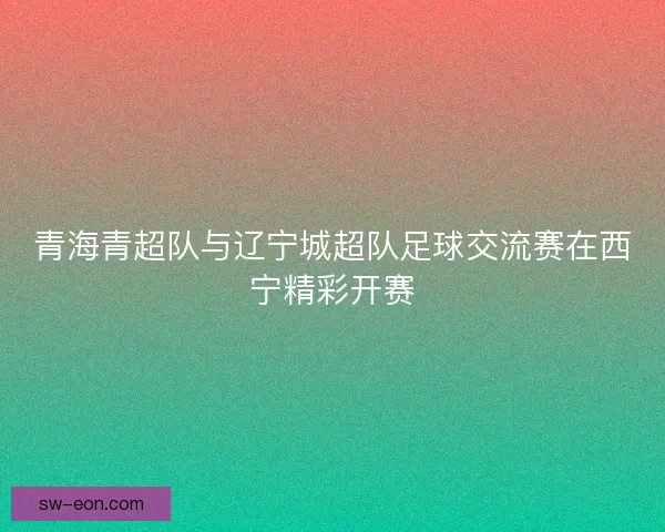 青海青超队与辽宁城超队足球交流赛在西宁精彩开赛